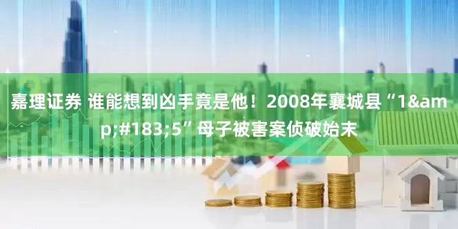 嘉理证券 谁能想到凶手竟是他！2008年襄城县“1&#183;5”母子被害案侦破始末