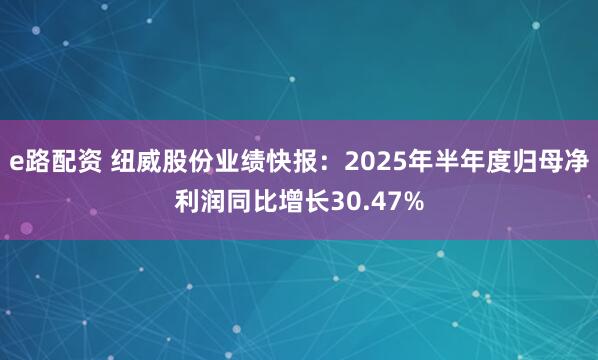 e路配资 纽威股份业绩快报：2025年半年度归母净利润同比增长30.47%